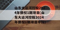 山东大运河控股2024年债权1期项目(山东大运河控股2024年债权1期项目中标)