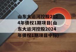 山东大运河控股2024年债权1期项目(山东大运河控股2024年债权1期项目中标)