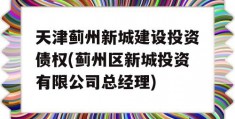 天津蓟州新城建设投资债权(蓟州区新城投资有限公司总经理)