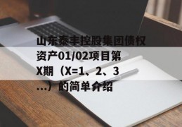 山东泰丰控股集团债权资产01/02项目第X期（X=1、2、3...）的简单介绍