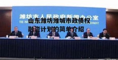 山东潍坊潍城市政债权融资计划的简单介绍