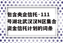 包含央企信托·111号湖北武汉汉N区集合资金信托计划的词条