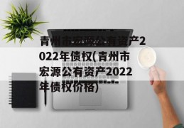 青州市宏源公有资产2022年债权(青州市宏源公有资产2022年债权价格)