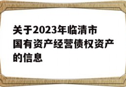 关于2023年临清市国有资产经营债权资产的信息