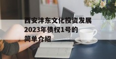 西安沣东文化投资发展2023年债权1号的简单介绍