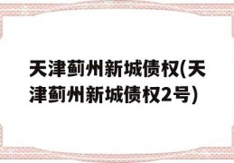 天津蓟州新城债权(天津蓟州新城债权2号)