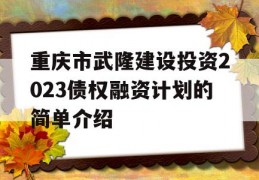 重庆市武隆建设投资2023债权融资计划的简单介绍