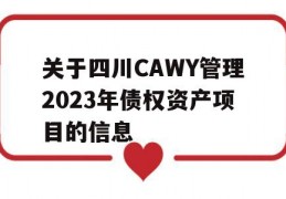 关于四川CAWY管理2023年债权资产项目的信息