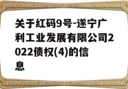 关于红码9号-遂宁广利工业发展有限公司2022债权(4)的信息