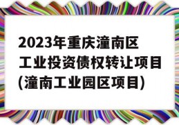 2023年重庆潼南区工业投资债权转让项目(潼南工业园区项目)