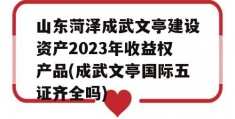 山东菏泽成武文亭建设资产2023年收益权产品(成武文亭国际五证齐全吗)