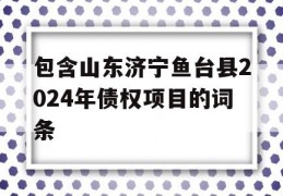 包含山东济宁鱼台县2024年债权项目的词条