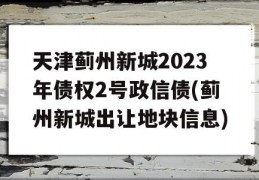 天津蓟州新城2023年债权2号政信债(蓟州新城出让地块信息)