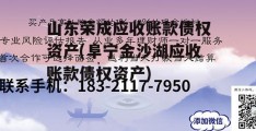 山东荣成应收账款债权资产(阜宁金沙湖应收账款债权资产)