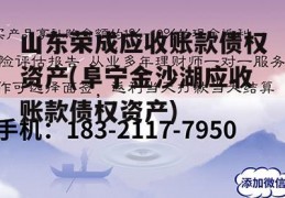 山东荣成应收账款债权资产(阜宁金沙湖应收账款债权资产)