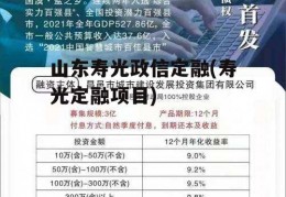 山东寿光政信定融(寿光定融项目)