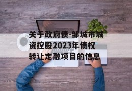 关于政府债-邹城市城资控股2023年债权转让定融项目的信息