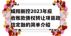 咸阳新控2023年应收账款债权转让项目政信定融的简单介绍