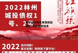 关于山东寿光海发政信债权1号定融的信息