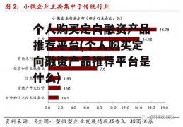 个人购买定向融资产品推荐平台(个人购买定向融资产品推荐平台是什么)