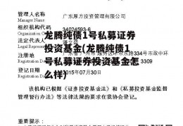 龙腾纯债1号私募证券投资基金(龙腾纯债1号私募证券投资基金怎么样)