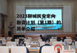 2023聊城民安定向融资计划（第1期）的简单介绍