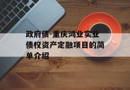 政府债-重庆鸿业实业债权资产定融项目的简单介绍