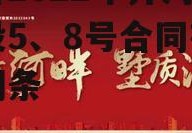 包含2022年齐河县城投5、8号合同存证的词条