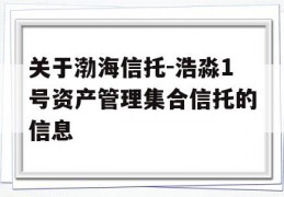 关于渤海信托-浩淼1号资产管理集合信托的信息