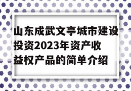 山东成武文亭城市建设投资2023年资产收益权产品的简单介绍