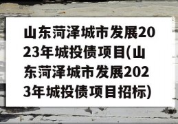 山东菏泽城市发展2023年城投债项目(山东菏泽城市发展2023年城投债项目招标)