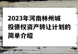 2023年河南林州城投债权资产转让计划的简单介绍