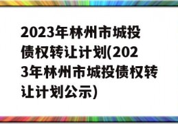 2023年林州市城投债权转让计划(2023年林州市城投债权转让计划公示)