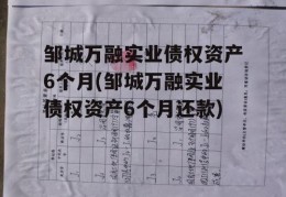 邹城万融实业债权资产6个月(邹城万融实业债权资产6个月还款)