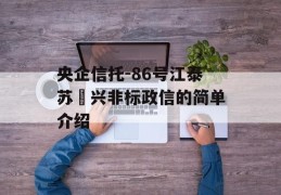 央企信托-86号江泰苏‬兴非标政信的简单介绍