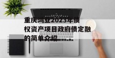 重庆鸿业2023年债权资产项目政府债定融的简单介绍