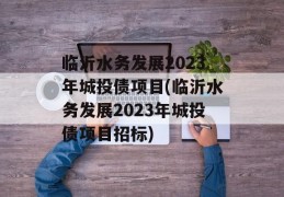 临沂水务发展2023年城投债项目(临沂水务发展2023年城投债项目招标)