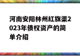 河南安阳林州红旗渠2023年债权资产的简单介绍