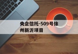 央企信托-509号徐州新沂项目