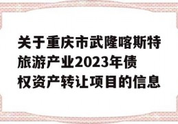 关于重庆市武隆喀斯特旅游产业2023年债权资产转让项目的信息