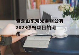 包含山东寿光金财公有2023债权项目的词条