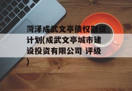 菏泽成武文亭债权融资计划(成武文亭城市建设投资有限公司 评级)