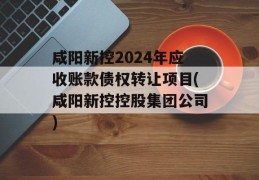 咸阳新控2024年应收账款债权转让项目(咸阳新控控股集团公司)