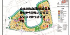 山东潍坊滨海新城公有债权计划(潍坊滨海国投2021债权转让计划)