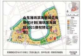 山东潍坊滨海新城公有债权计划(潍坊滨海国投2021债权转让计划)