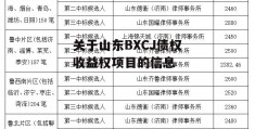 关于山东BXCJ债权收益权项目的信息