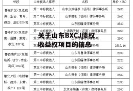 关于山东BXCJ债权收益权项目的信息