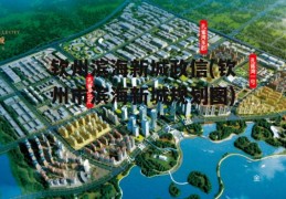 钦州滨海新城政信(钦州市滨海新城规划图)