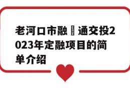 老河口市融‬通交投2023年定融项目的简单介绍