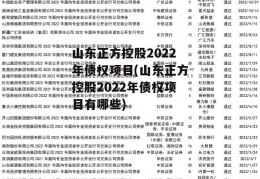 山东正方控股2022年债权项目(山东正方控股2022年债权项目有哪些)